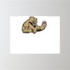 24" x 18" Corrugated Plastic Sign Thumbnail